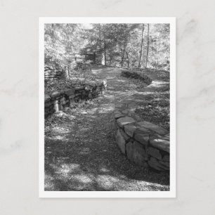 Black and White Postcard Postkarte