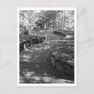 Black and White Postcard Postkarte