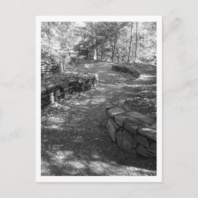 Black and White Postcard Postkarte (Vorderseite)