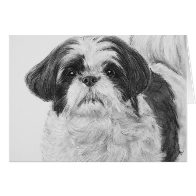 Black and White Shih Tzu Art (Vorderseite (Horizontal))