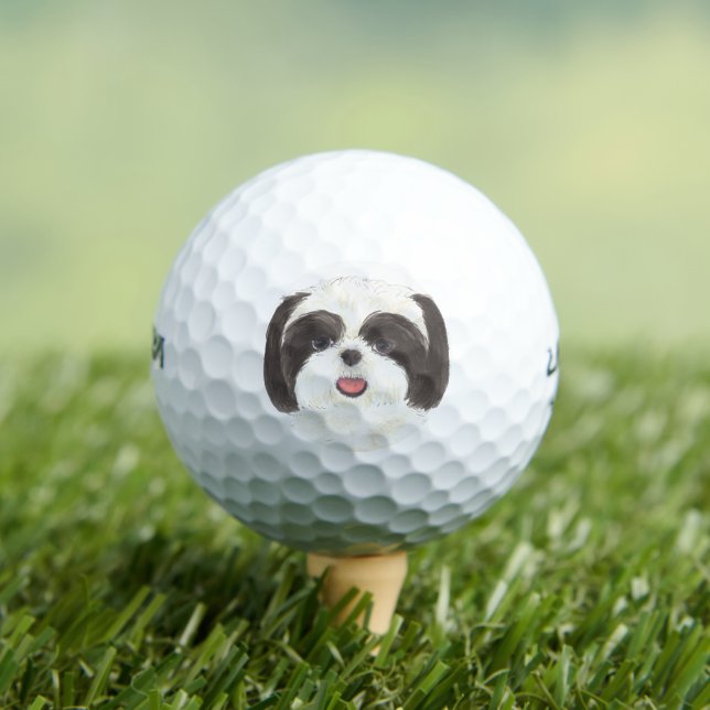 Black and White Shih Tzu Golfball (Insitu T-Shirt)
