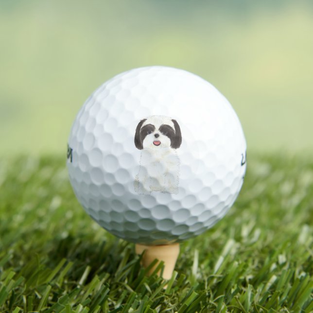 Black and White Shih Tzu Golfball (Insitu T-Shirt)