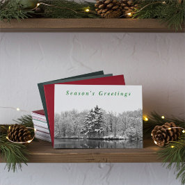 Black and White Snowy Winter Holiday Card Feiertagskarte