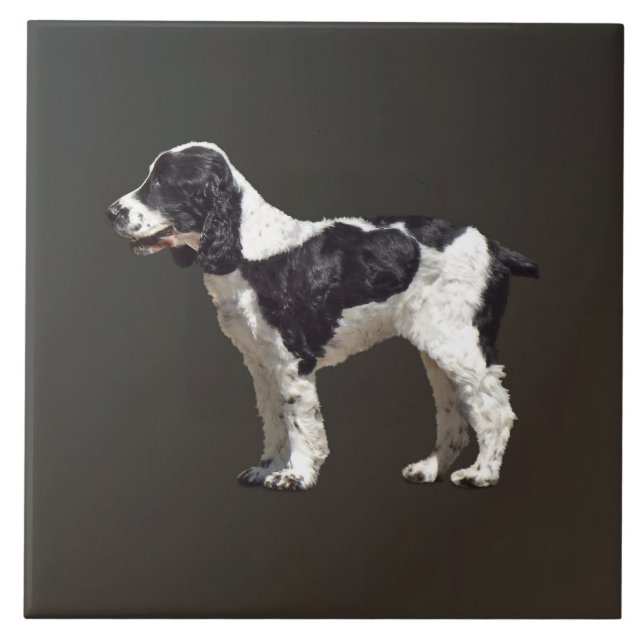 Black and White Spaniel Fliese (Vorderseite)