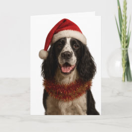 Black and white Springer Spaniel Christmas card Karte