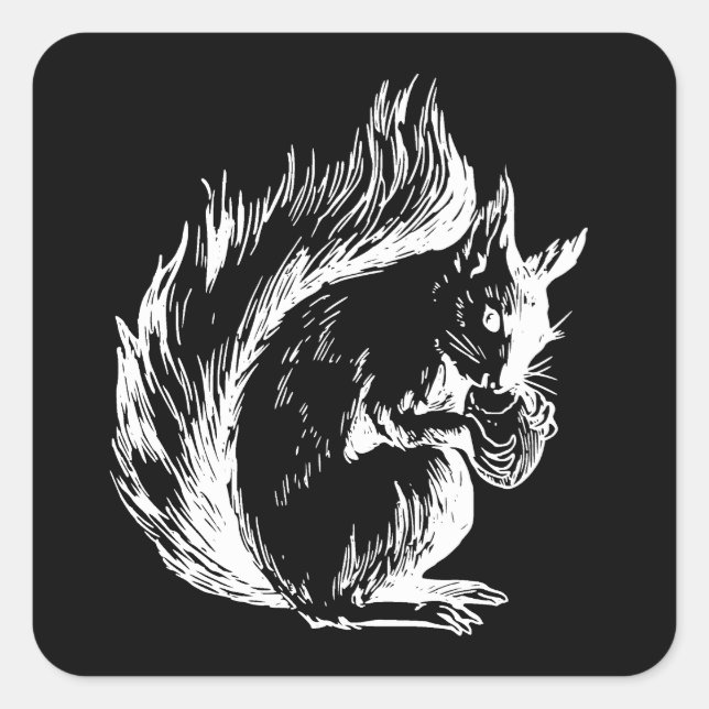 Black and White Squirrel Design Quadratischer Aufkleber (Vorderseite)