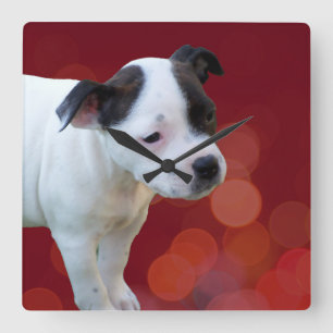 Black And White Staffordshire Puppy, Quadratische Wanduhr