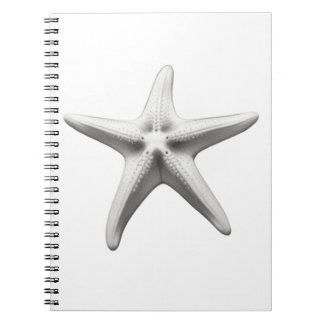 Black and White Starfish Notizblock