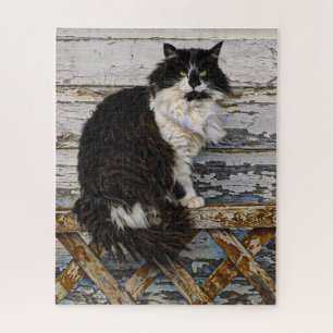 Black and White Stray Cat on Wood Lattice Fence Puzzle