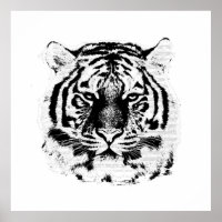 Black and White Tiger Face
