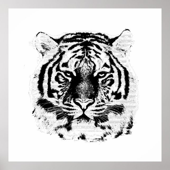 Black and White Tiger Face Poster (Vorne)
