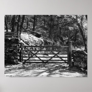 BLACK AND WHITE TREES AND GATE LANDSCAPE POSTER