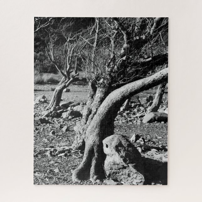BLACK AND WHITE TREES  PUZZLE (Vertikal)