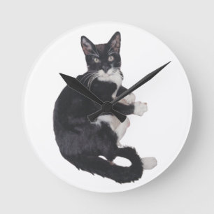 Black and white Tuxedo cat clock Runde Wanduhr