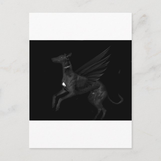 Black Angel Greyhound Postkarte (Vorderseite)