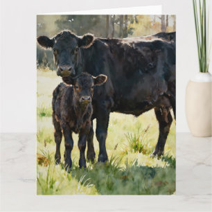 Black Angus Kuh und Kalb Studie B in Aquarell Karte
