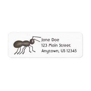 Black Ant Ants Marching Insect Picnic Bug