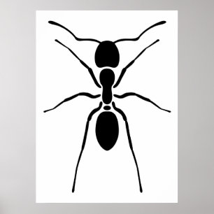 Black Ant Poster