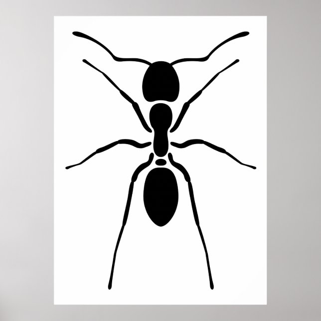 Black Ant Poster (Vorne)