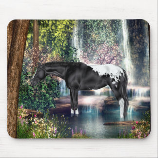 Black Appaloosa Horse Waterfall Hintergrund Mousepad