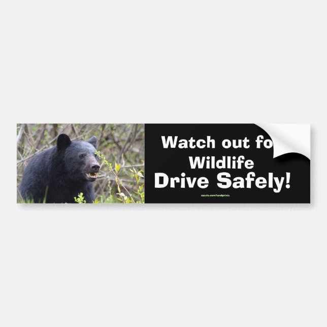 Black Bar Cub Wildlife Supporter Autoaufkleber (Vorne)