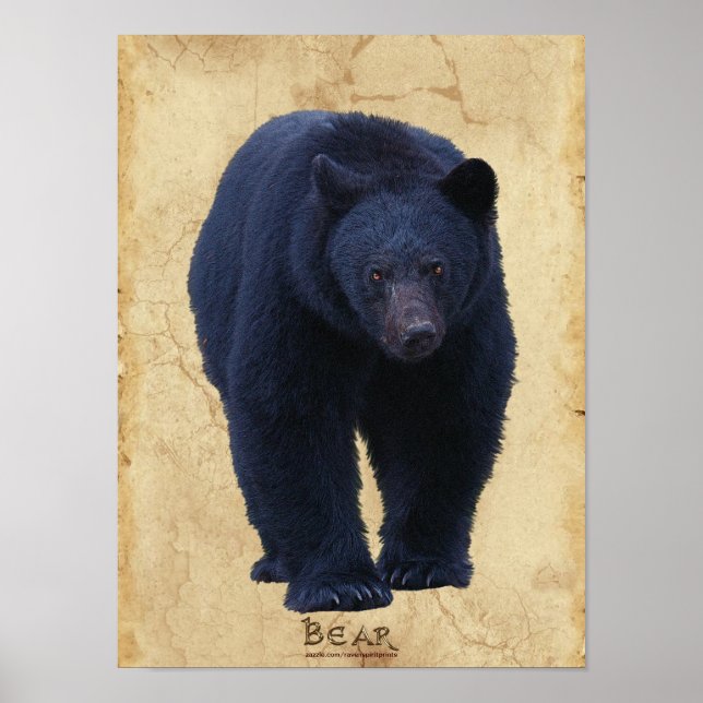 Black Bar Wildlife Art Poster mit Imitate-Parchmen (Vorne)