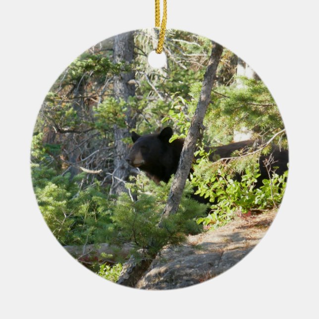 Black Bear at Grand Teton Keramik Ornament (Vorne)