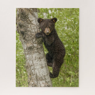 Black Bear cub In Tree Puzzle