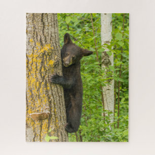 Black Bear Cub   Minnesota Puzzle