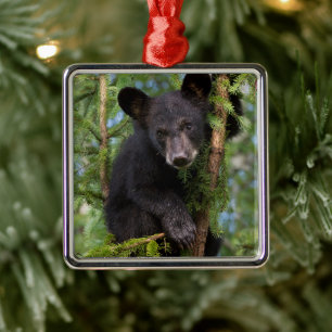 Black Bear Cub Playing in Trees Ornament Aus Metall