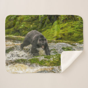 Black Bear Fischen   Qua Creek British Columbia Sherpadecke