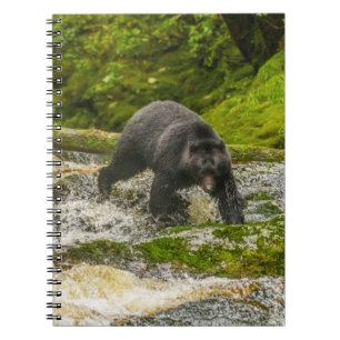 Black Bear Fishing Qua Creek British Columbia Notizblock