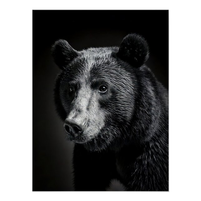 Black Bear in fine art photography Poster (Vorderseite)