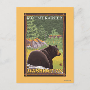 Black Bear in Forest - Mount Rainier, Washington Postkarte