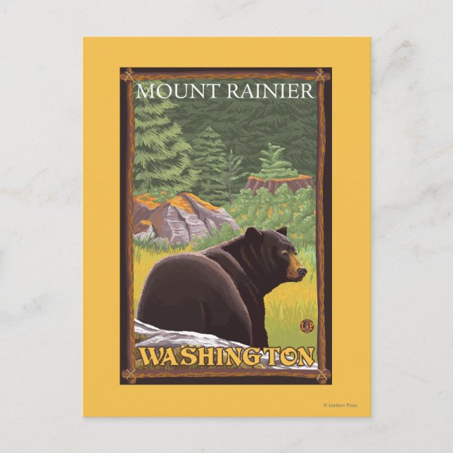 Black Bear in Forest - Mount Rainier, Washington Postkarte (Vorderseite)