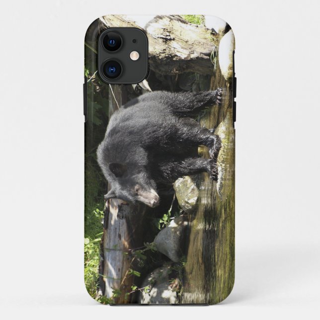 Black Bear "Salmon Spotting" Wildlife iPhone Case (Rückseite)