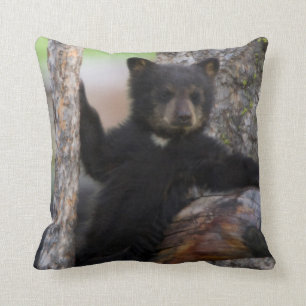 Black Bears Cub Lounging Kissen