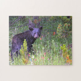 Black Bears Kanada. Puzzle