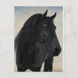 Black Beauty - Black Friesian Horse Portrait Postkarte