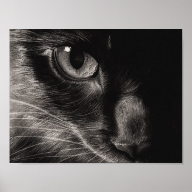 Black Beauty Cat Poster (Vorne)