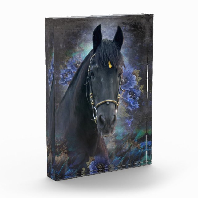 Black Beauty Friesian Horse - Foto Block (Links)