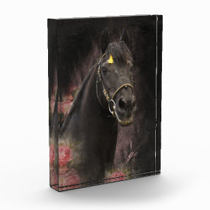 Black Beauty Friesian Horse - Foto Block