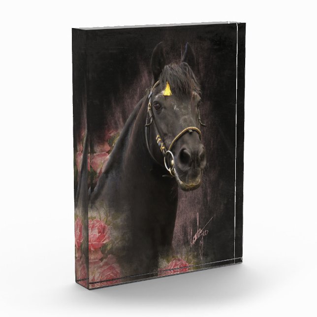 Black Beauty Friesian Horse - Foto Block (Links)
