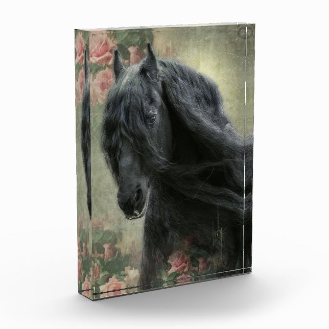 Black Beauty Friesian Horse - Foto Block (Links)