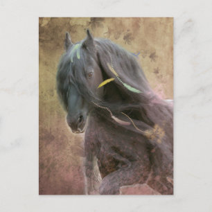 Black Beauty Friesian Horse - Postcard Postkarte