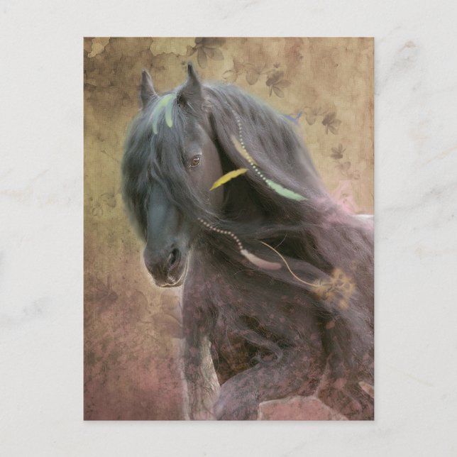 Black Beauty Friesian Horse - Postcard Postkarte (Vorderseite)