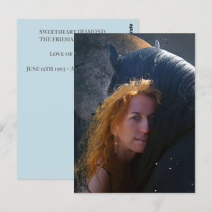 Black Beauty Friesian Horse - Postcard Postkarte