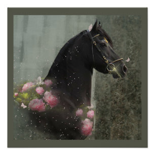 Black Beauty Friesian Horse - Poster