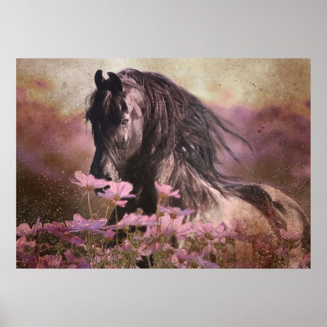 Black Beauty Friesian Horse - Poster (Vorne)
