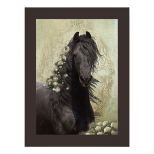 Black Beauty Friesian Pferd - Poster